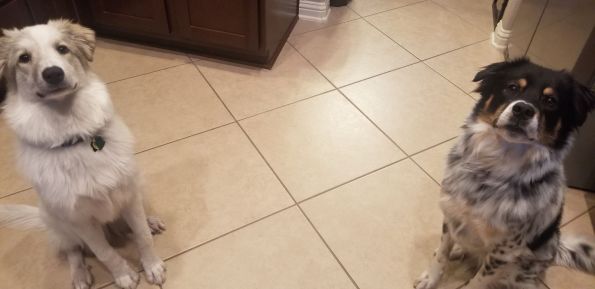 MicrosoftTeams-image (28)